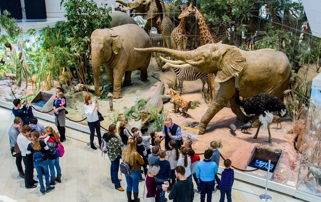 Научную карьеру французского зоолога обсудят в Государственном Дарвиновском музее. Фото: сайт мэра Москвы