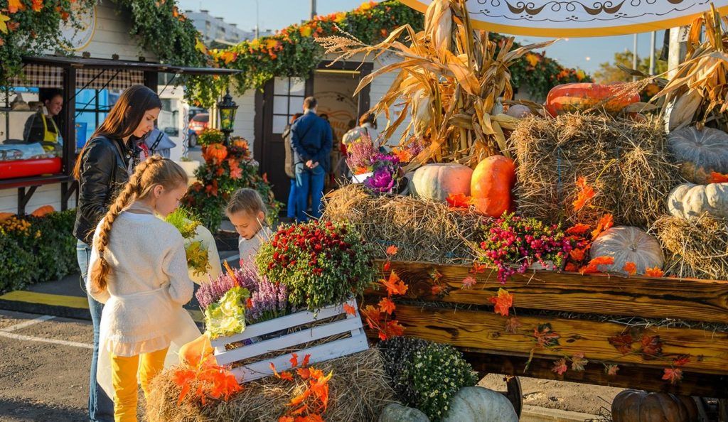 Ореховый бульвар станет одной из площадок фестиваля «Золотая осень». Фото: сайт мэра Москвы