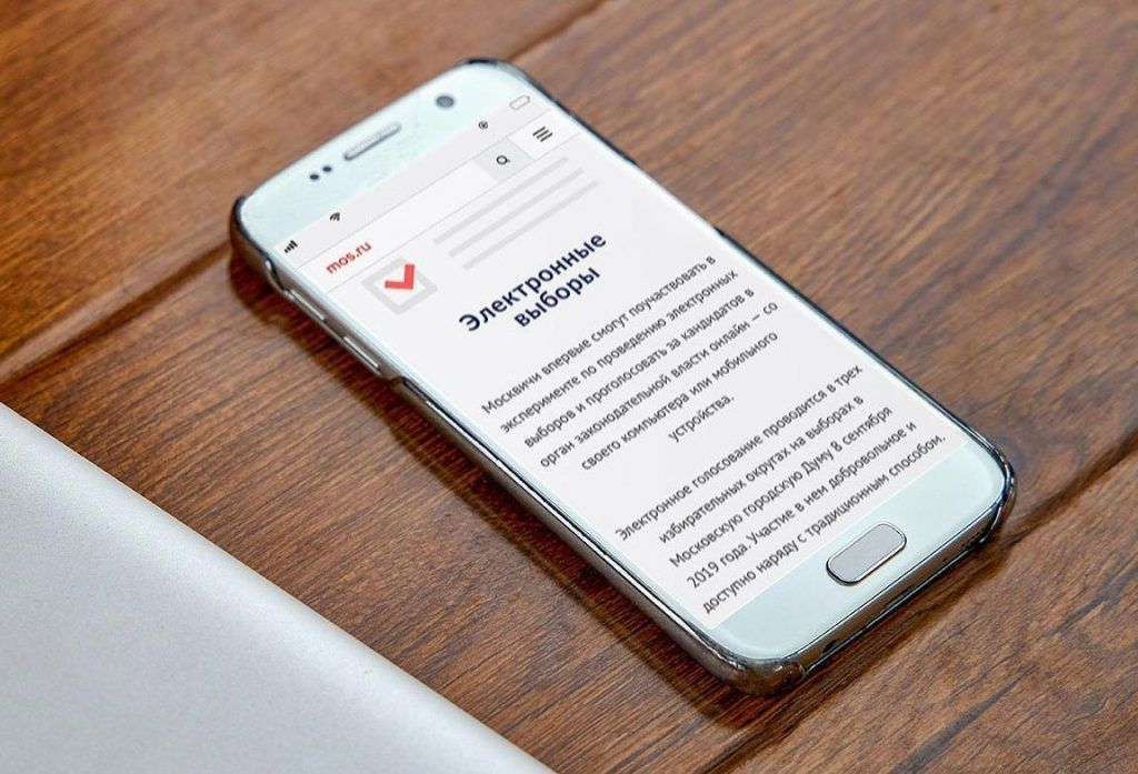Более двух тысяч жителей юга проголосуют на выборах дистанционно. Фото: сайт мэра Москвы