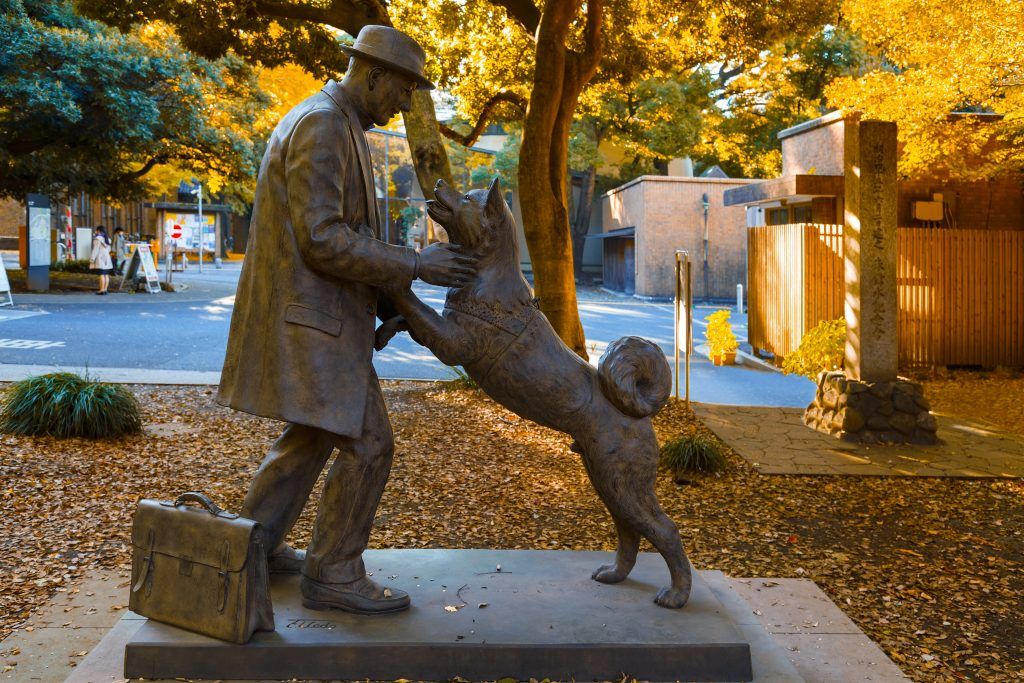 Памятник псу Хатико и его хозяину — профессору Хидэсабуро Уэно в Токио. Фото: PHOTOXPRESS