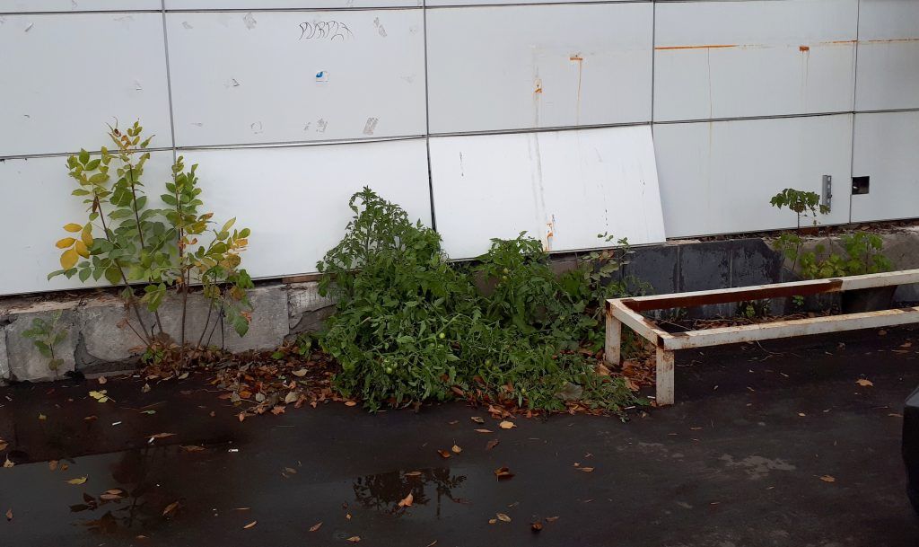Фото прислала народный корреспондент Анна Зайцева Фото прислала народный корреспондент Анна Зайцева