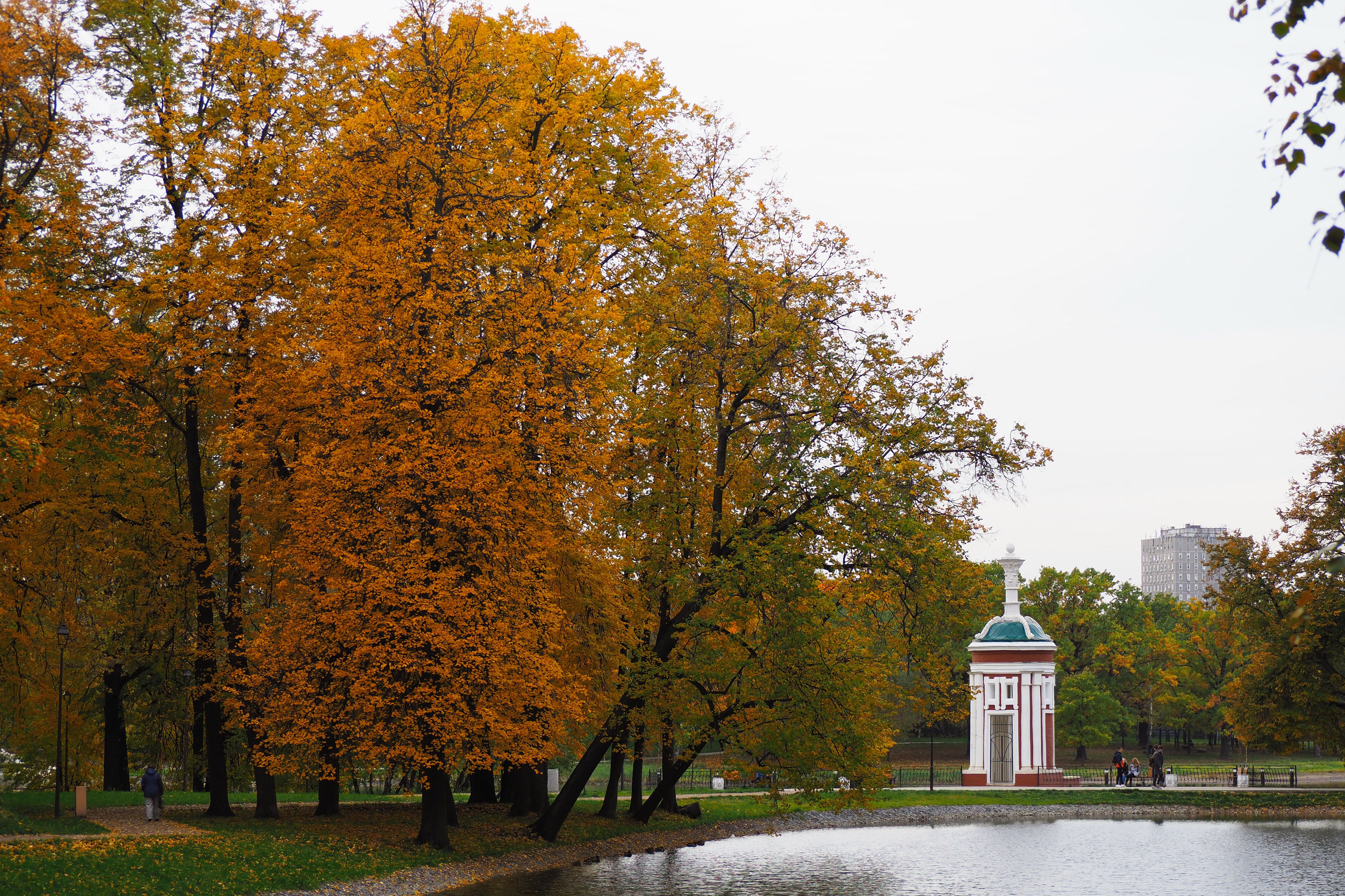 Фото: Антон Гердо