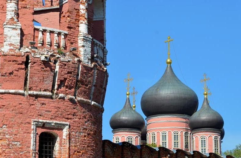 Горожан пригласили на встречу в Молодежном клубе при Донском монастыре. Фото: Анна Быкова