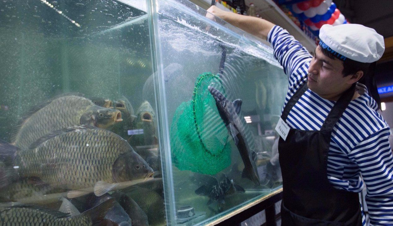 Усиливается борьба с незаконным оборотом осетровых видов рыб в Москве
