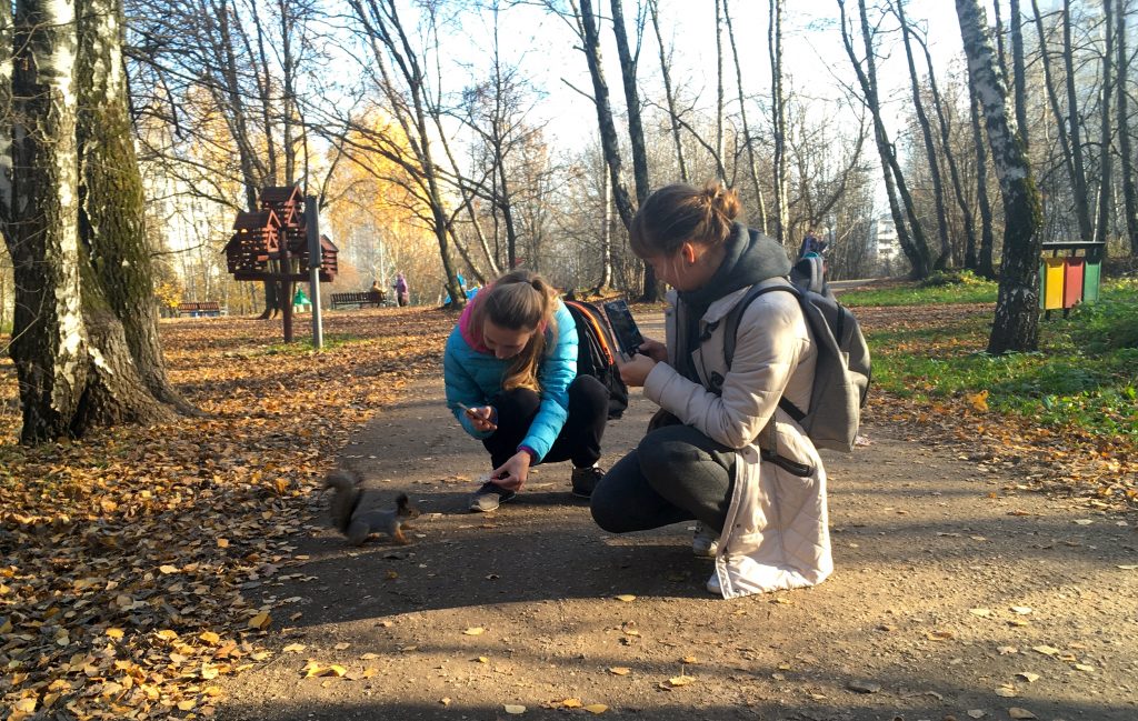 Народный корреспондент запечатлела знакомство белки с гостями парка. Фото: Екатерина Набережнова