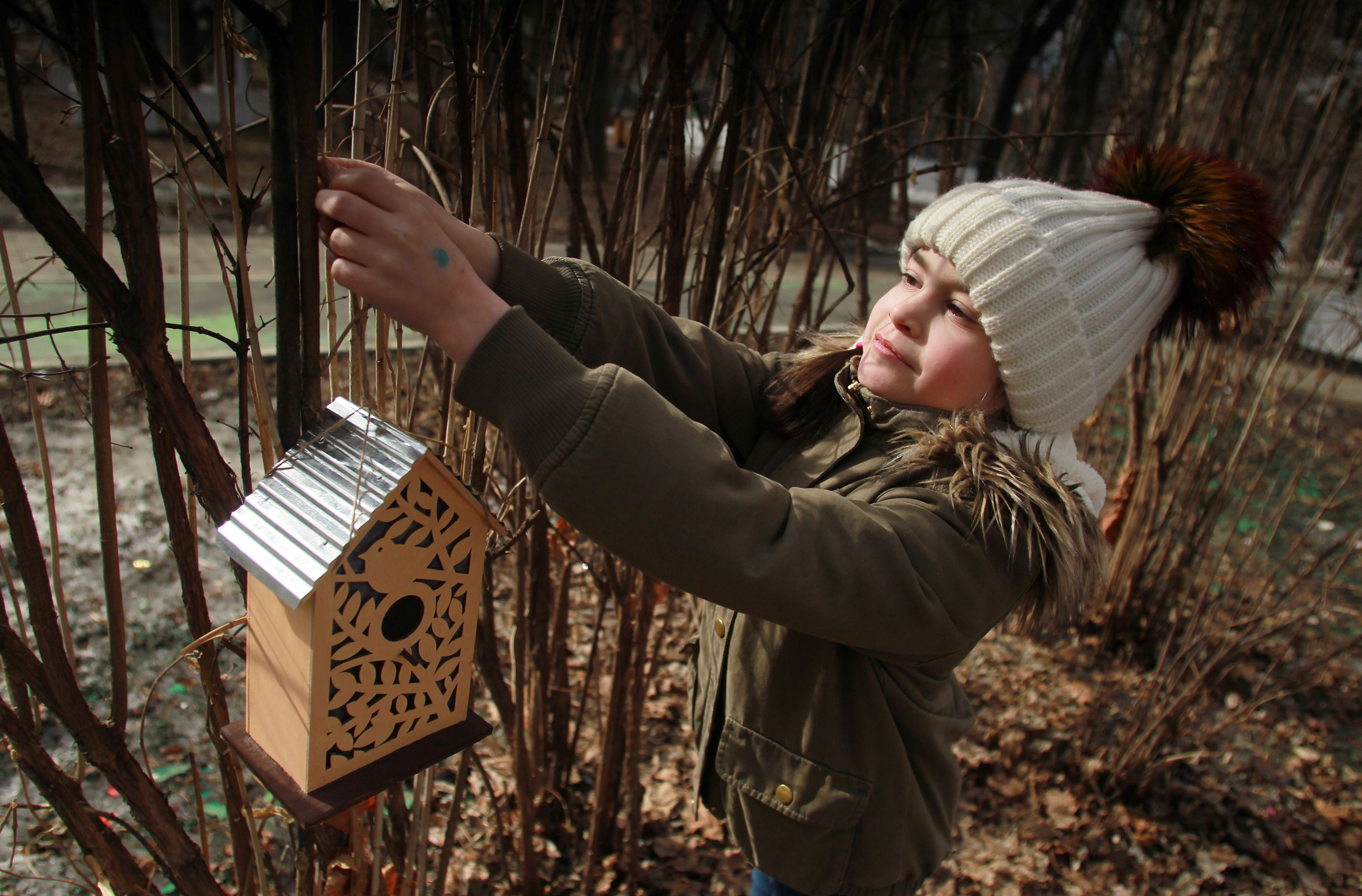Специалисты рассказали о правилах подкормки птиц зимой. Фото: архив, «Вечерняя Москва»