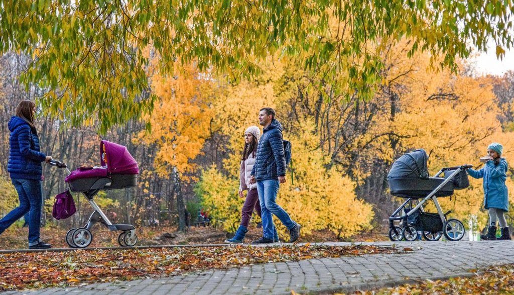 Более 300 кустарников и 34 дерева высадят в Москворечье-Сабурово до конца ноября. Фото: сайт мэра Москвы
