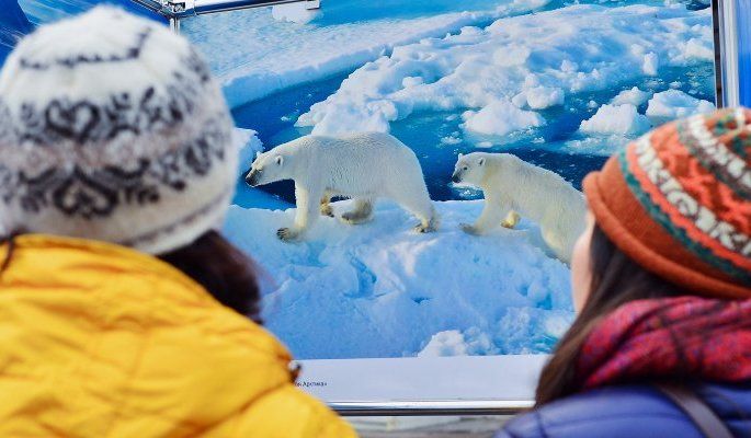 Жизнь среди снега и льда: вечер Арктики проведут в Дарвиновском музее. Фото: сайт мэра Москвы