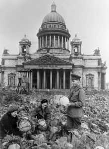Осень 1942 года. Ленинградцы ухаживают за овощами на огороде, организованном на Исаакиевской площади. Фото: Сергей Шиманский, РИА Новости
