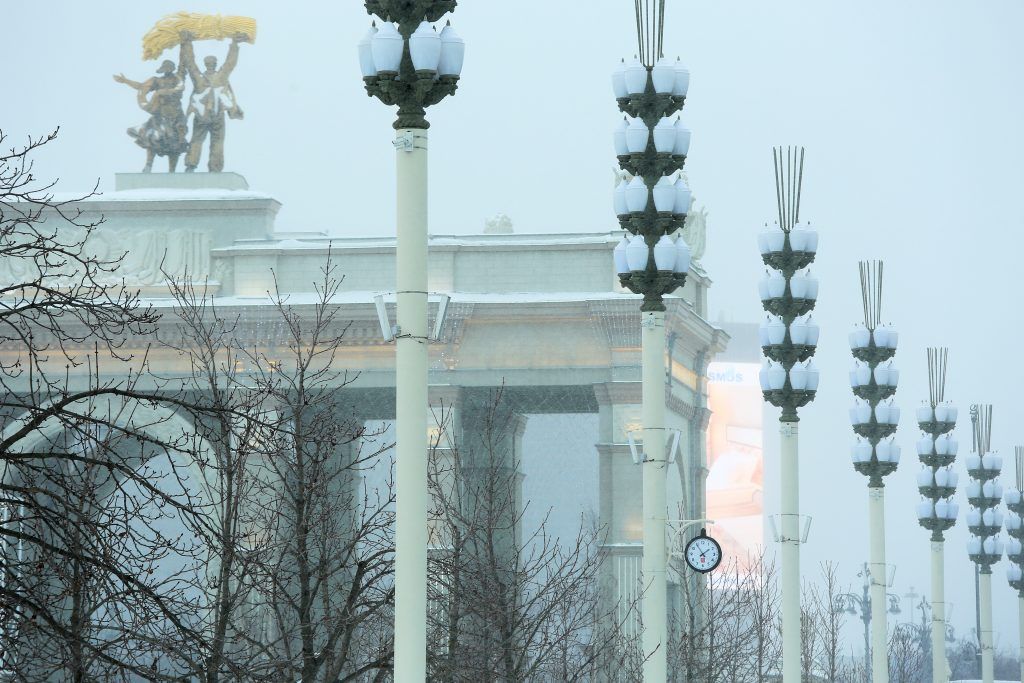 Выставки работали с 31 июля 2019 года до 12 января 2020-го. Фото: Алексей Орлов, «Вечерняя Москва»