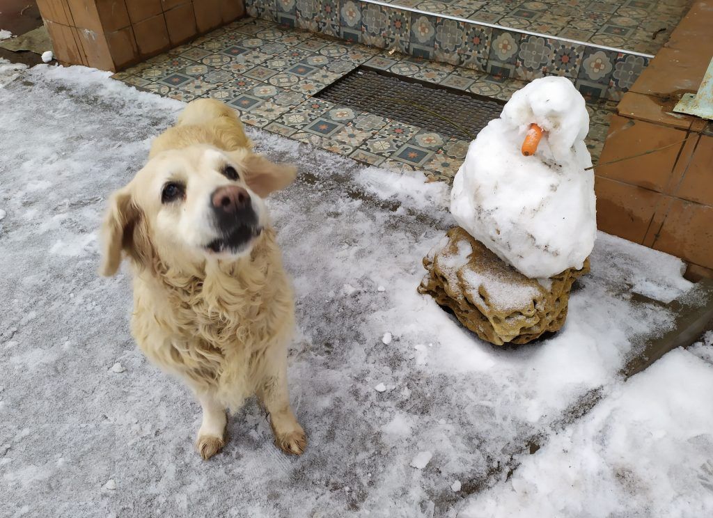 Фото: Павел Райгородский