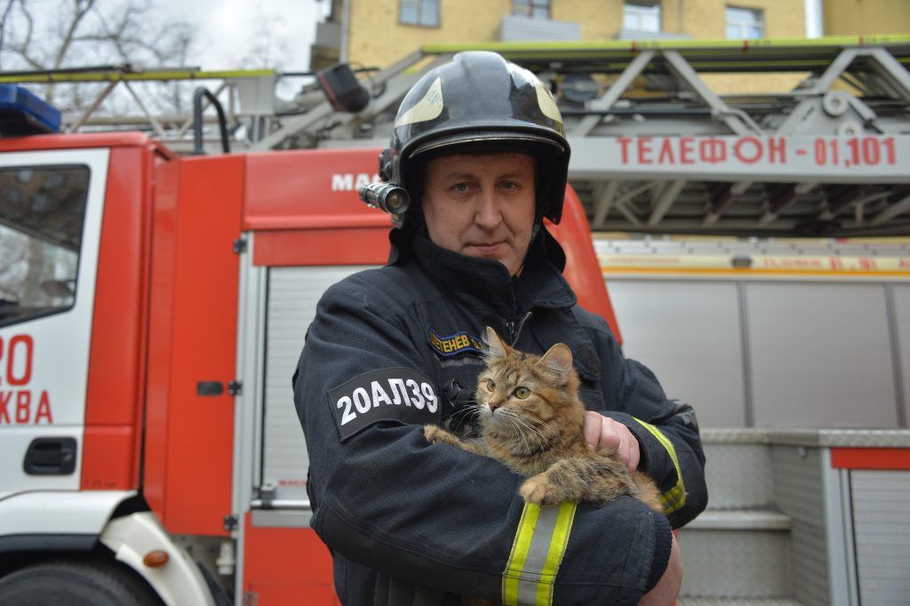 25 февраля 2020 года. Старший механик пожарной части № 20 Олег Плетнев с котом Тушилой. Фото: Пелагия Замятина 