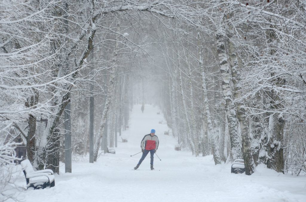 Почти 30 километров лыжных трасс организовали для гостей «Царицына». Фото: Александр Кожохин, «Вечерняя Москва»
