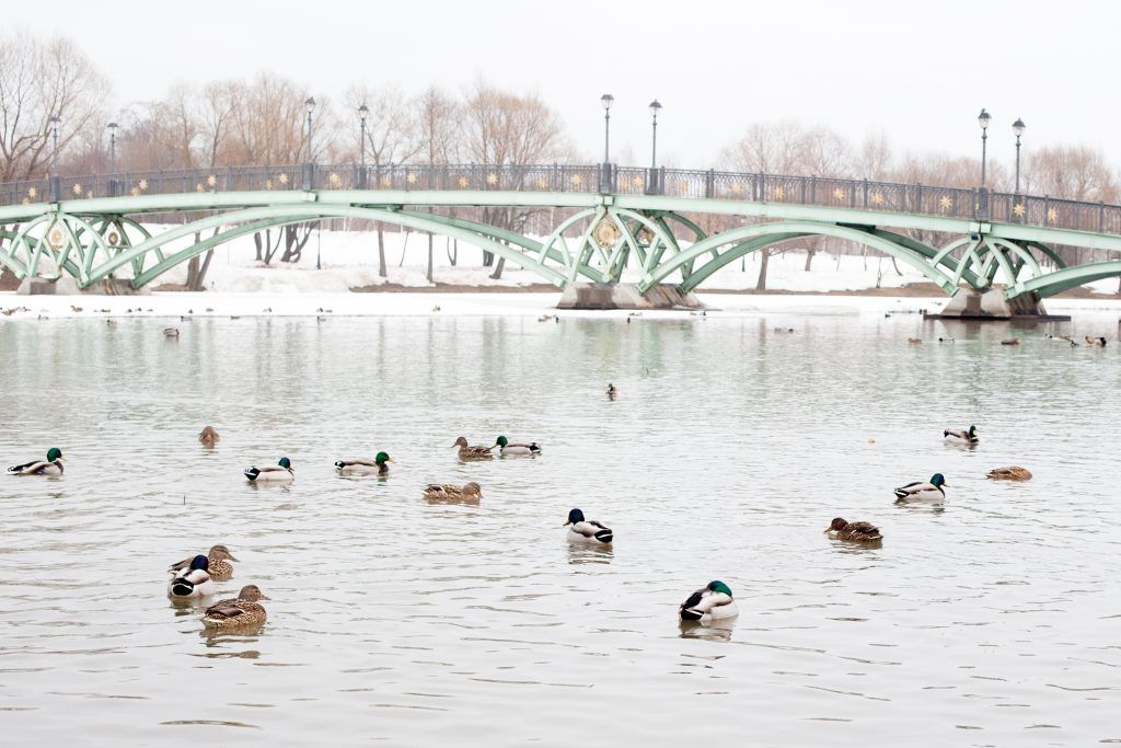 Москва благоустроит более 200 улиц, площадей и водоемов за 2020 год