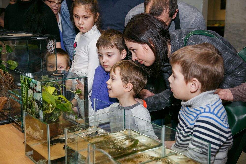 Квесты и эксперименты: Всемирный день воды отметят в Дарвиновском музее