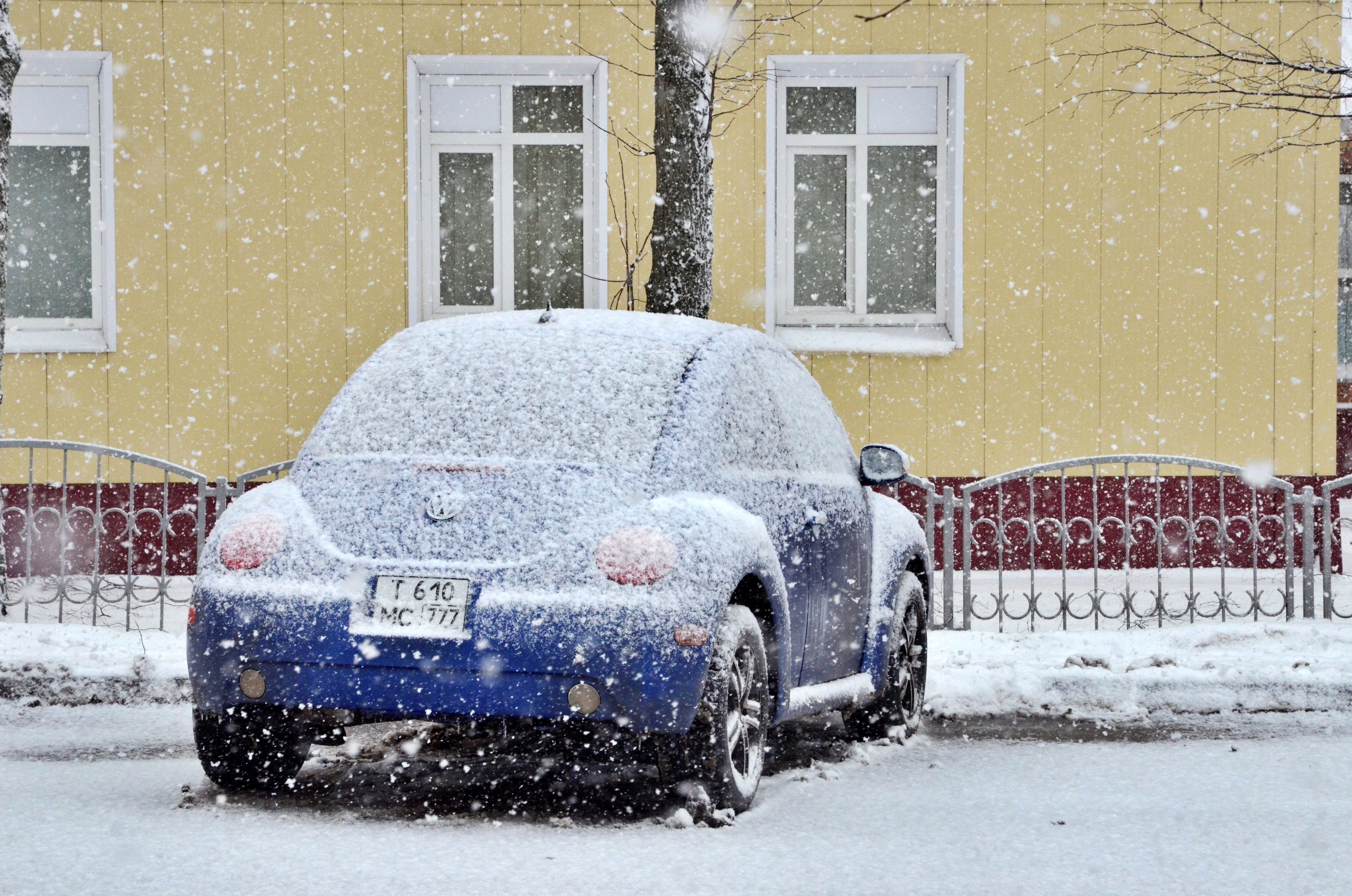 Теплый апрель не обойдется без «дыхания зимы» в Москве