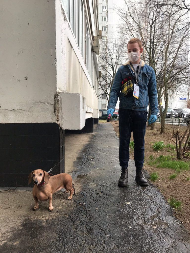 День из жизни волонтера: как помогают представителям старшего поколения и людям с хроническими заболеваниями День из жизни волонтера: как помогают представителям старшего поколения и людям с хроническими заболеваниями
