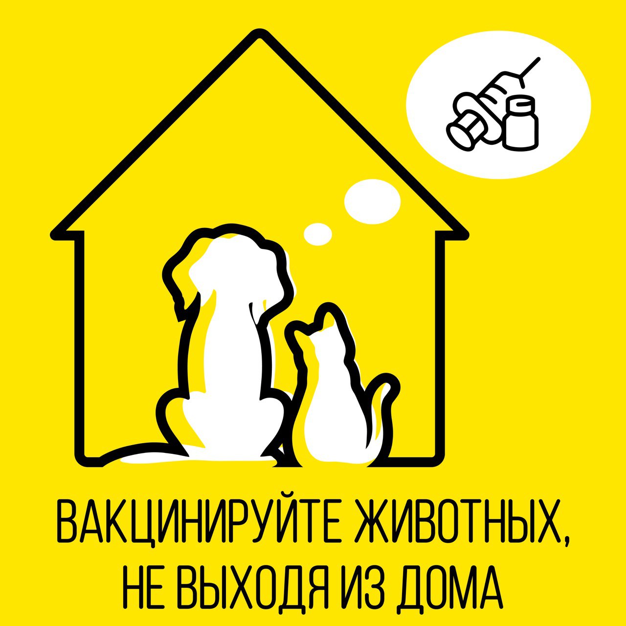 Вакцинировать питомца против бешенства на дому можно бесплатно
