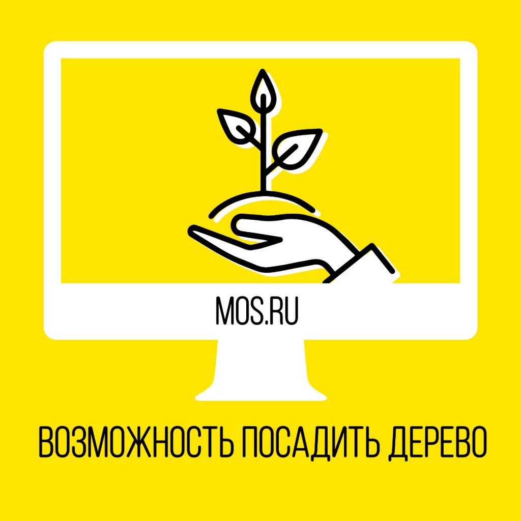 Родителям предложили присоединиться к акции «Наше дерево» Родителям предложили присоединиться к акции «Наше дерево»