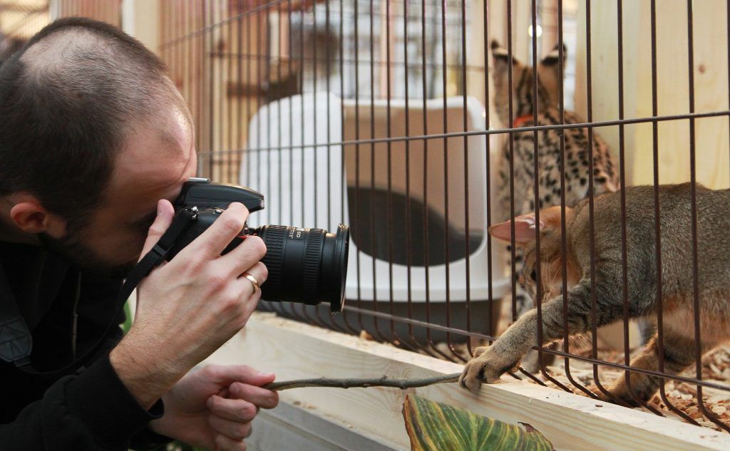 Пятидневный фотоквест запустят в «Северном Чертанове». Фото: Наталия Нечаева, «Вечерняя Москва»