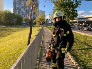 Столичные спасатели извлекли из Малого Чертановского пруда автомобиль. Фото: пресс-служба ГОЧСиПБ