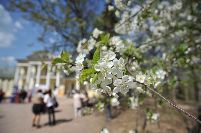 Из людей никто не пострадал. Фото: Александр Казаков