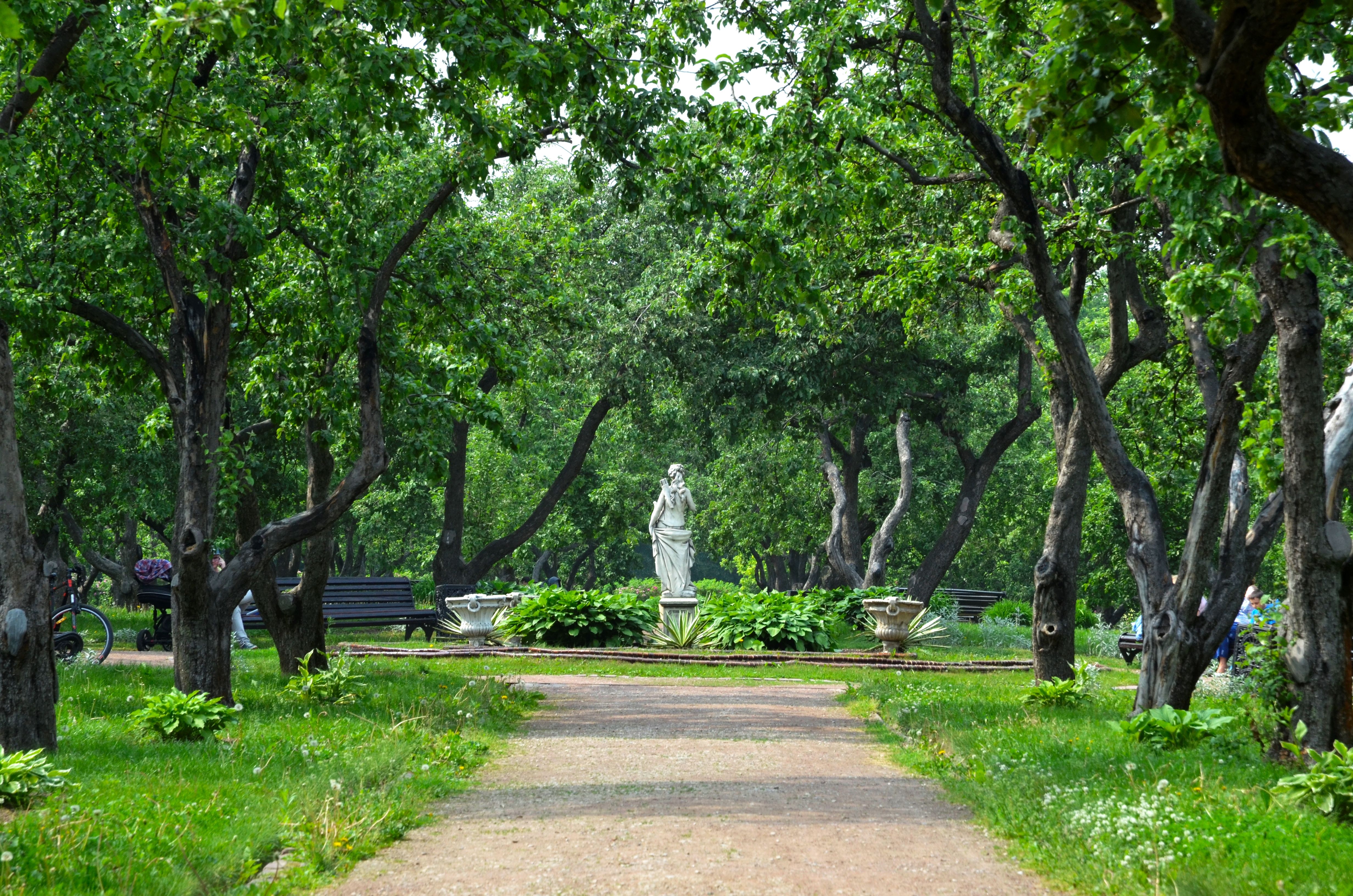 Зеленый рай: экскурсоводы рассказали о садах «Коломенского»