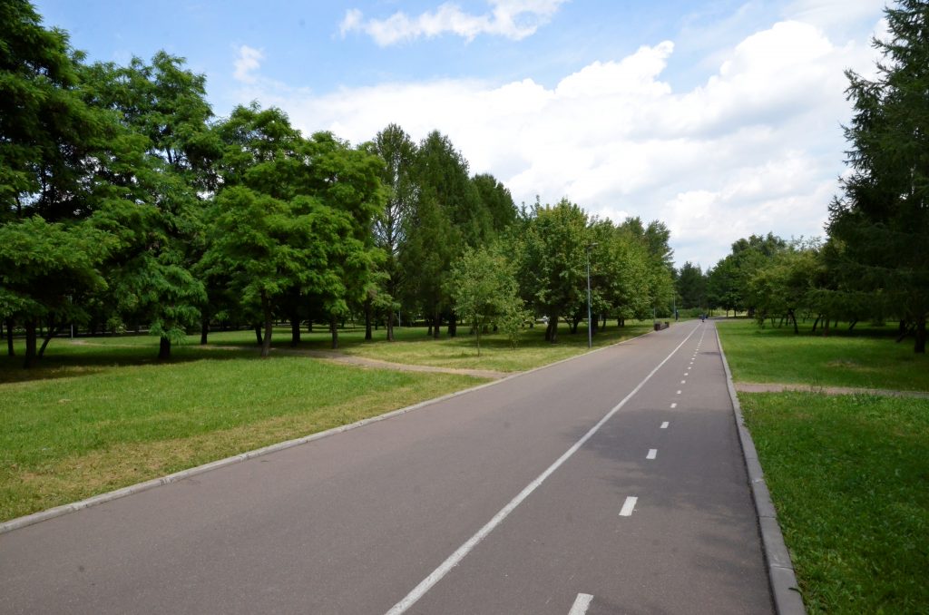 Врачи дали рекомендации по профилактике комариных укусов. Фото: Анна Быкова