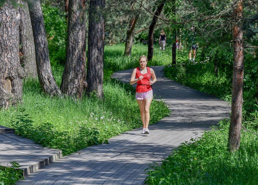 Пробежки по живописным маршрутам проводят в двух парках юга. Фото: сайт мэра Москвы