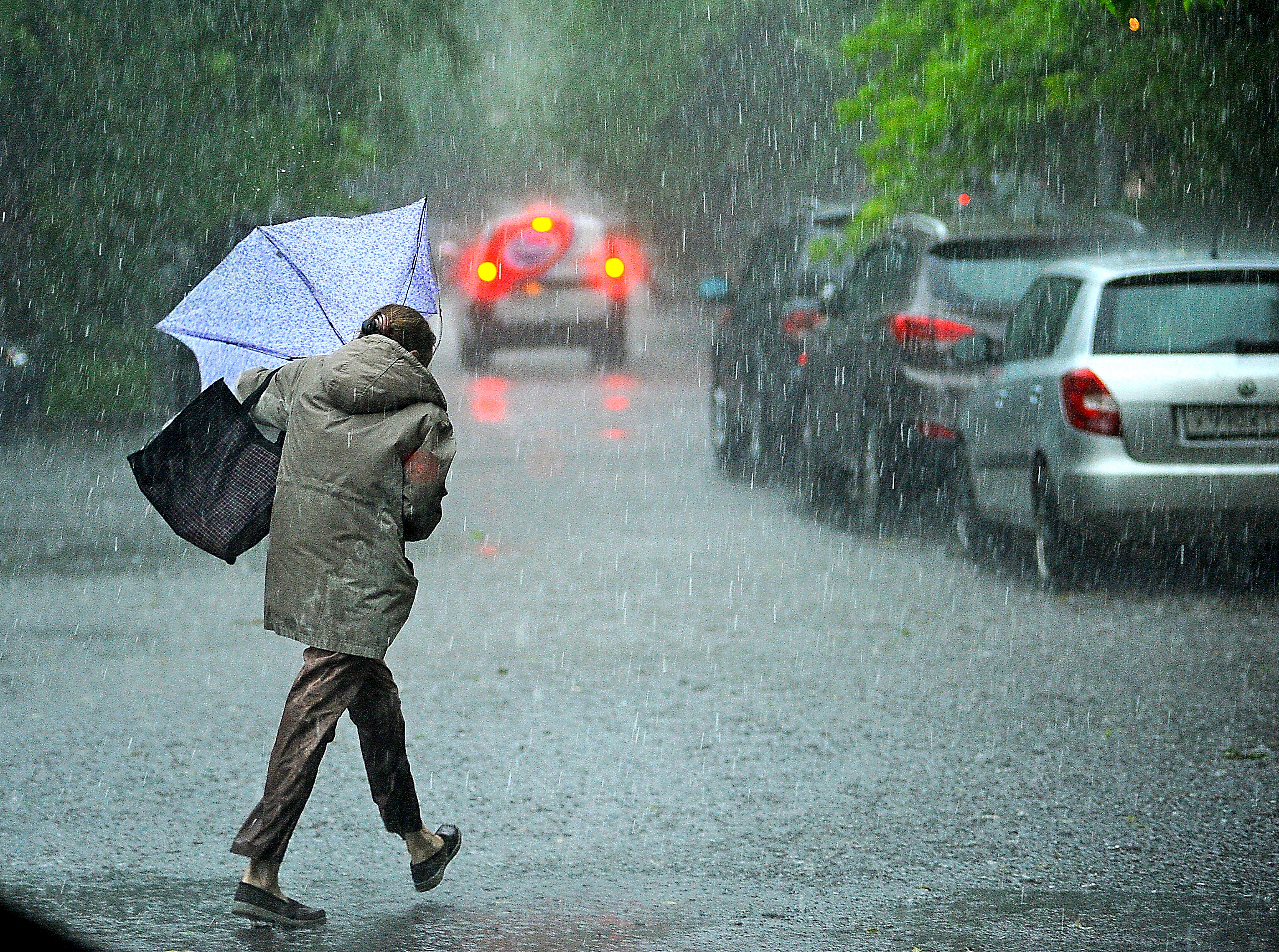 В Москве первая половина лета стала самой дождливой за последние 70 лет. Фото: Александр Кожохин
