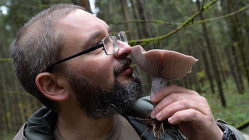 12 августа 2020 года. Миколог Михаил Вишневский знает, что для определения гриба важен его запах. Фото: из личного архива