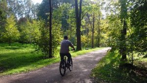 По аллеям можно кататься на велосипеде. Фото: Департамент природы пользования и охраны окружающей среды города Москвы