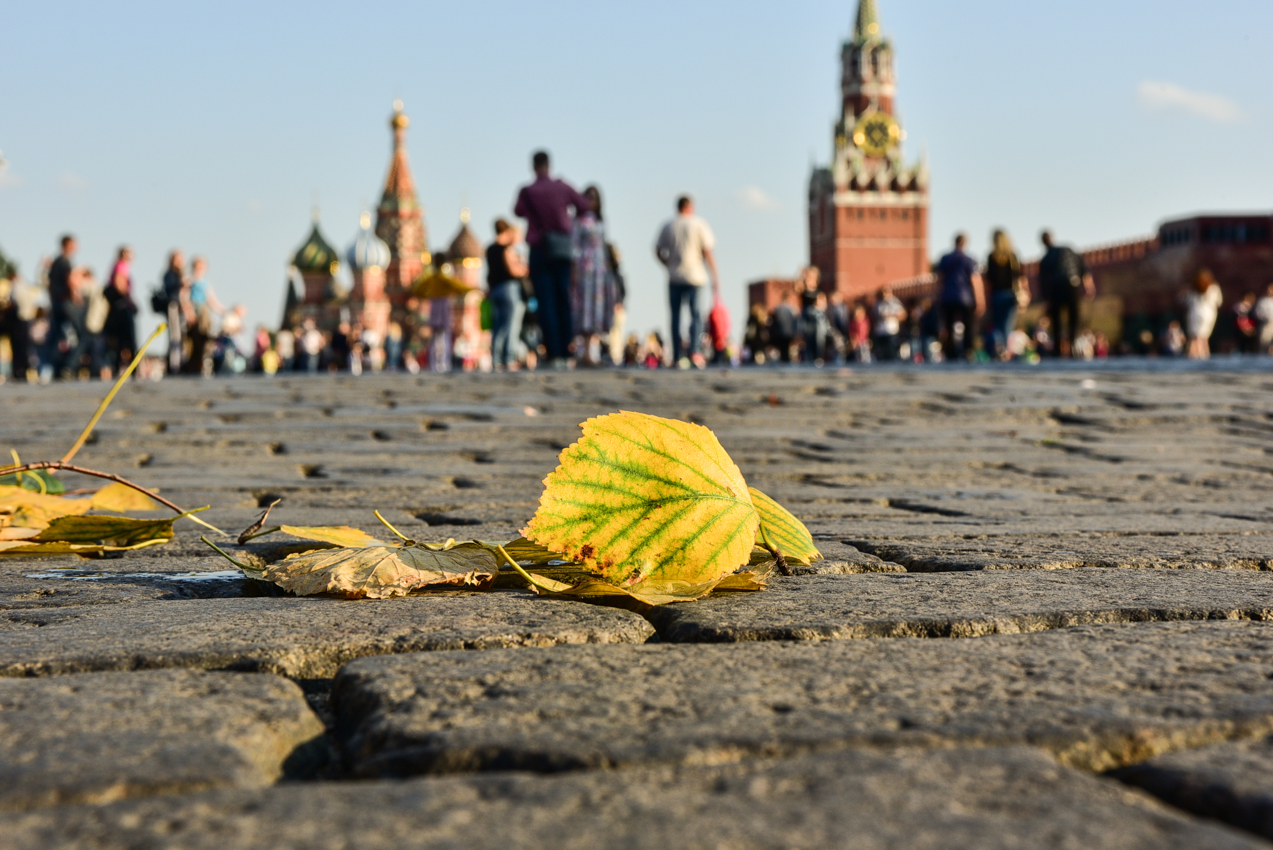 Среда порадует москвичей солнцем