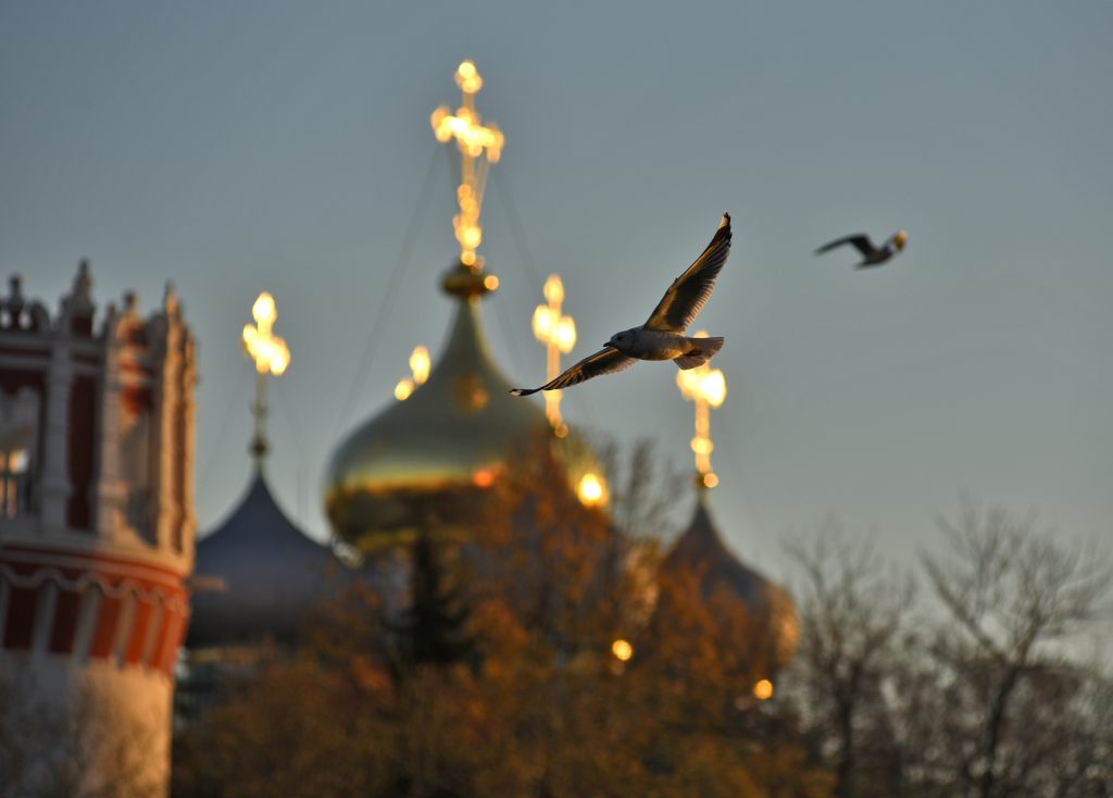Храм Сретения Господня могут ввести в эксплуатацию в Бирюлеве. Фото: Александр Кожохин, «Вечерняя Москва»