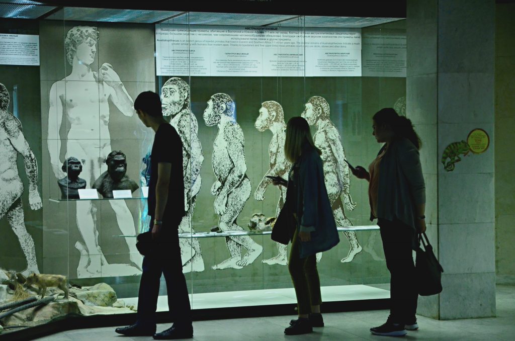 Редкие кости древних людей представят в Дарвиновском музее. Фото: Анна Быкова