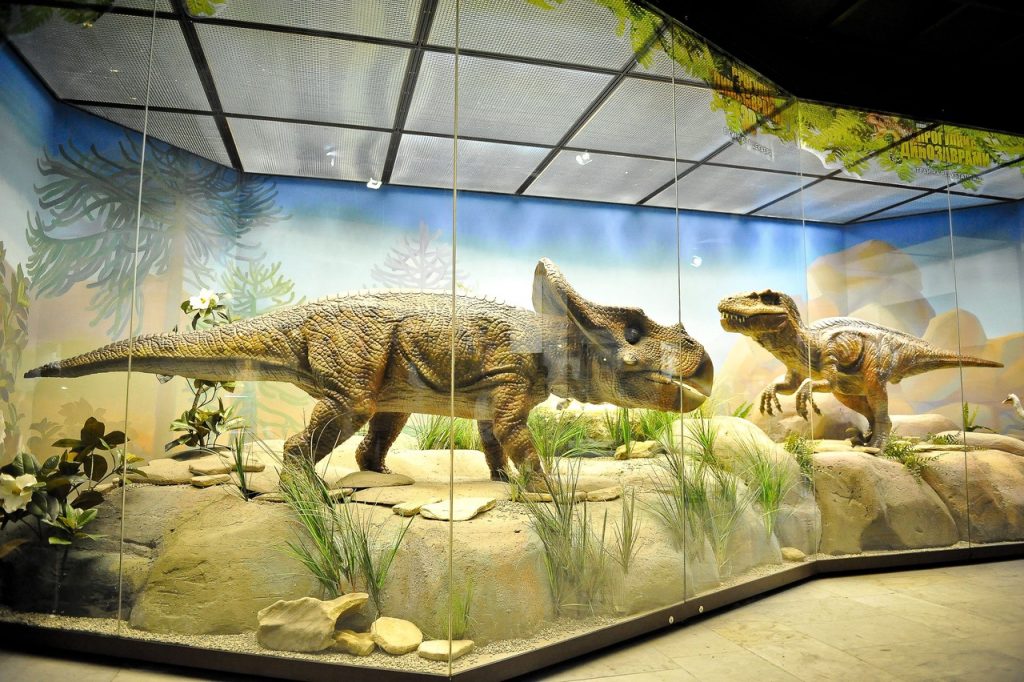 Динозавры России: онлайн-лекцию прочитают в Дарвиновском музее. Фото: Александр Казаков, «Вечерняя Москва»