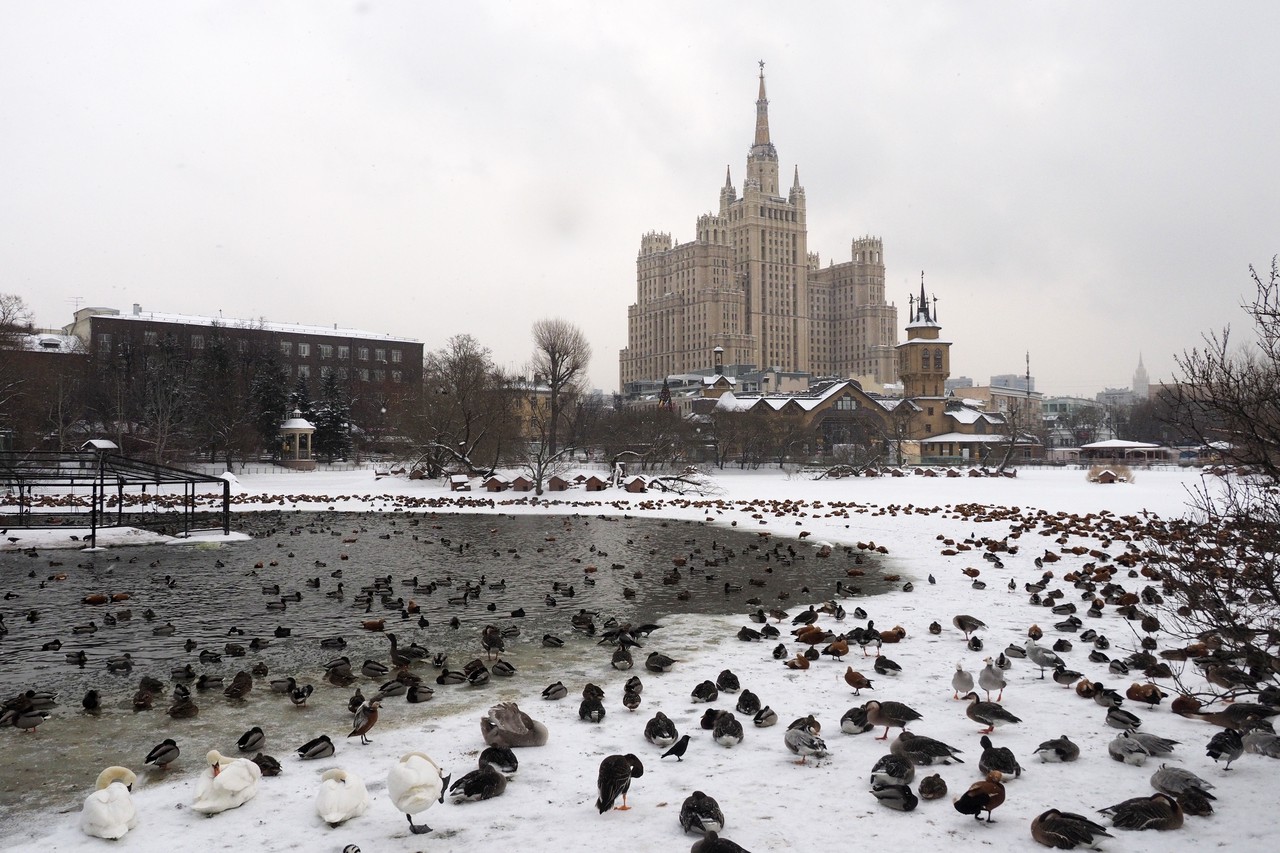 Работы завершат в этом году. Фото: Антон Гедо