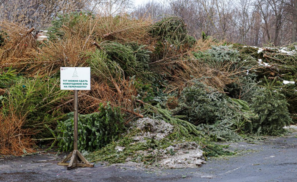 Свыше 70 пунктов сбора и переработки елок разместили в Южном округе. Фото предоставили сотрудники пресс-службы «Мосприроды»