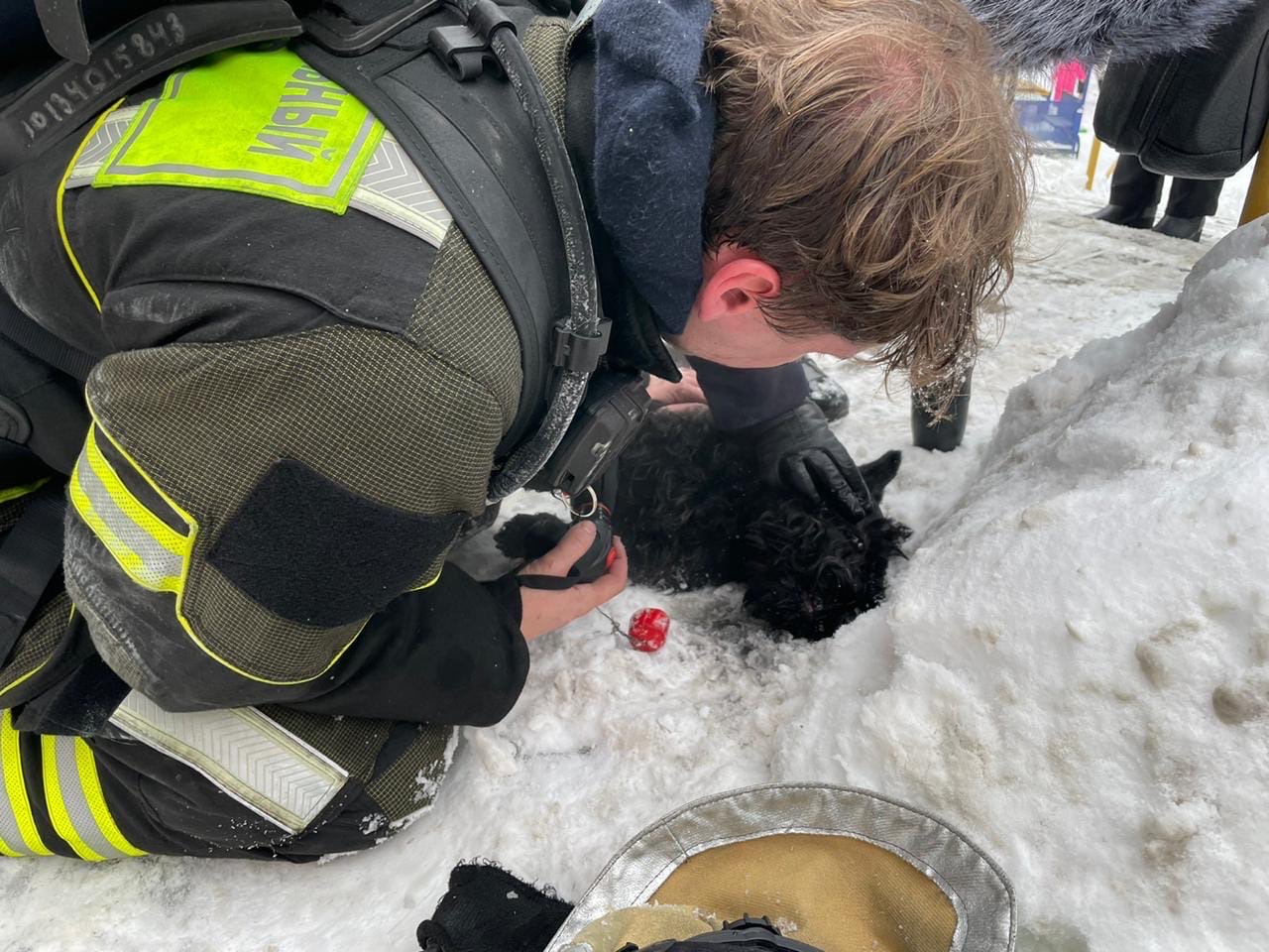 Пожарные округа спасли животных из горящей квартиры