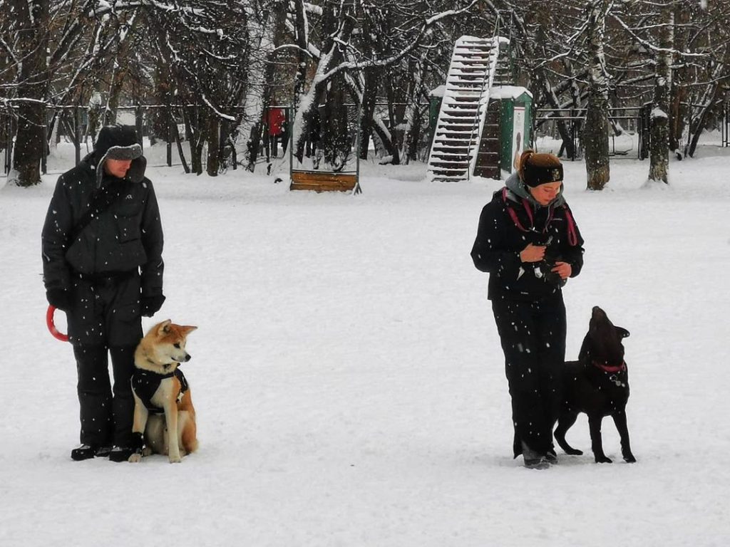 Необычные тренировки в «Сосенках». Фото предоставила народный корреспондент Лариса Пономарева