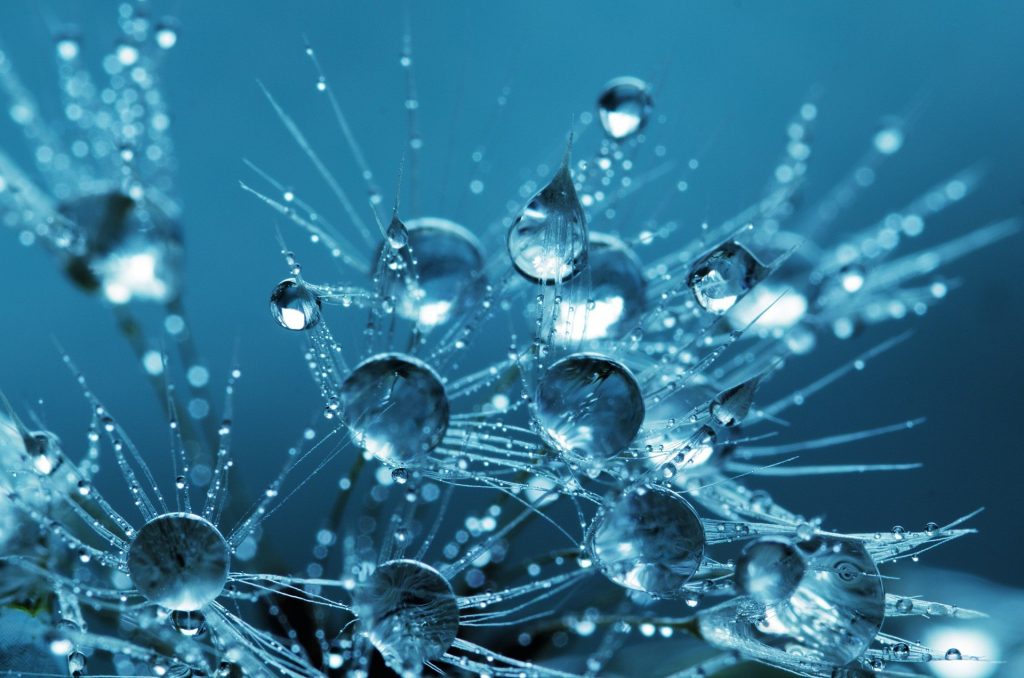 Сотрудники «Царицына» рассказали о важности исследований воды. Фото: pixabay.com