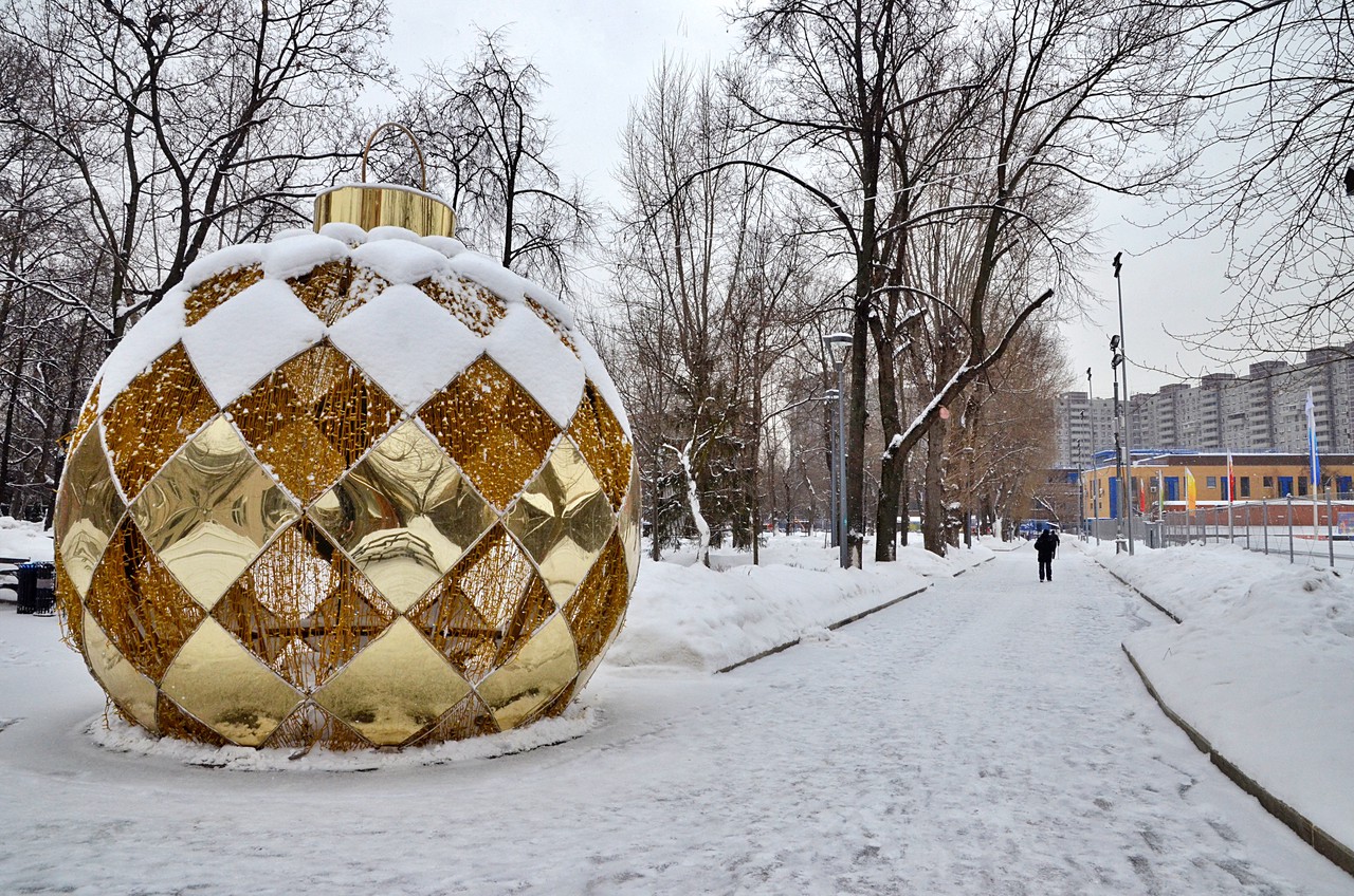 Голосование пройдет в два этапа. Фото: Анна Быкова