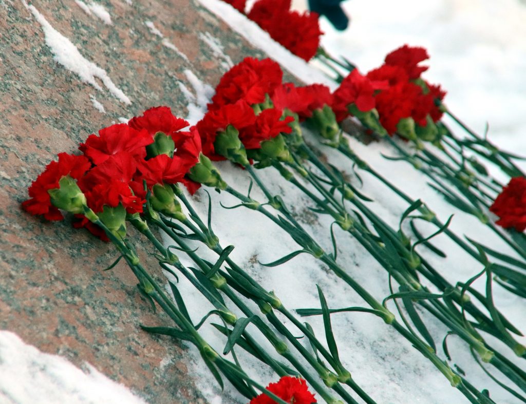 События Сталинградской битвы вспомнили в Орехове-Борисове Южном. Фото: Александра Сарычева