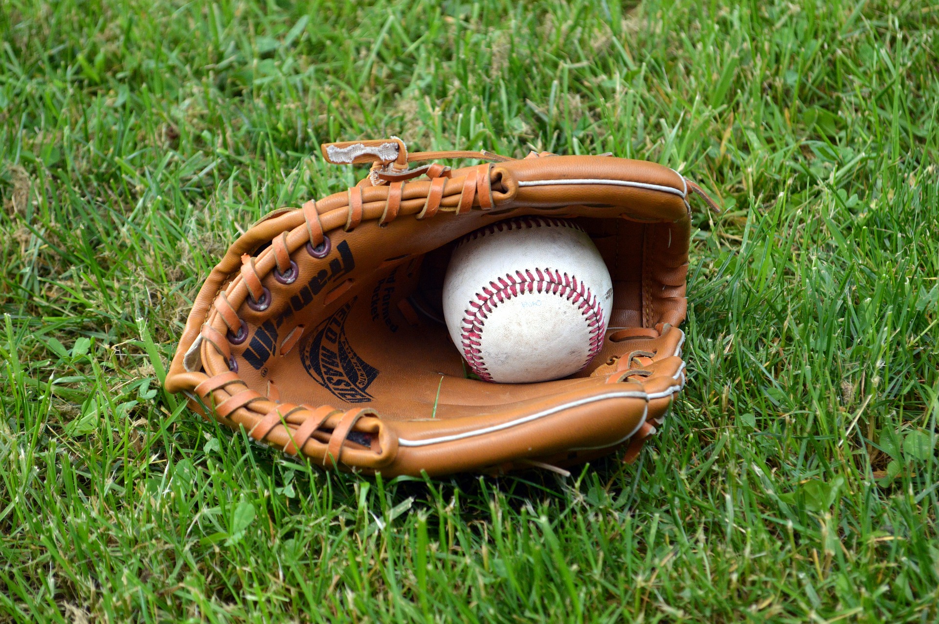 Бейсбольное поле есть в парке «Братеевская пойма». Фото: pixabay.ru