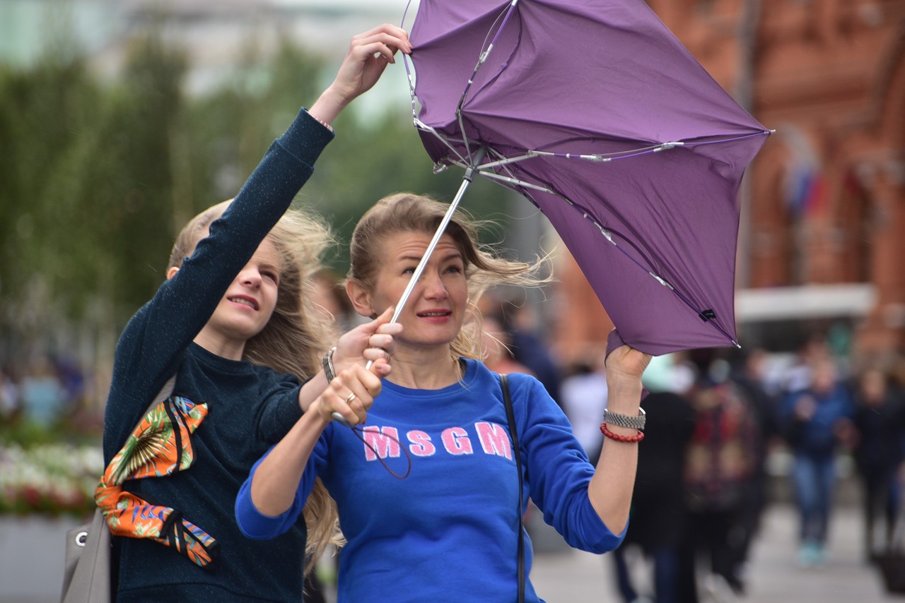 Жителей Москвы предупредили о сильном ветре