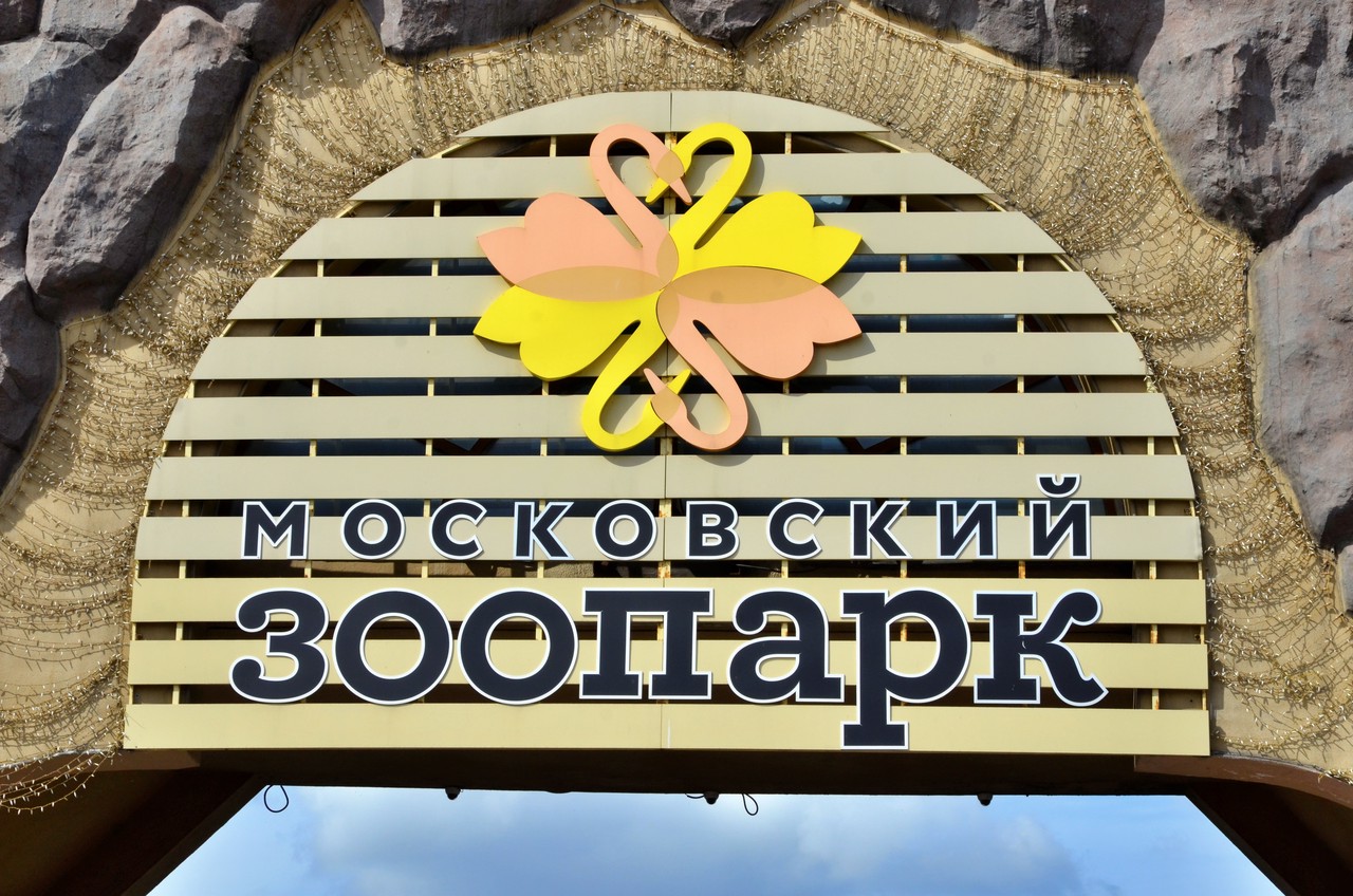 Монтаж траволаторов в Московском зоопарке находится на завершающей стадии