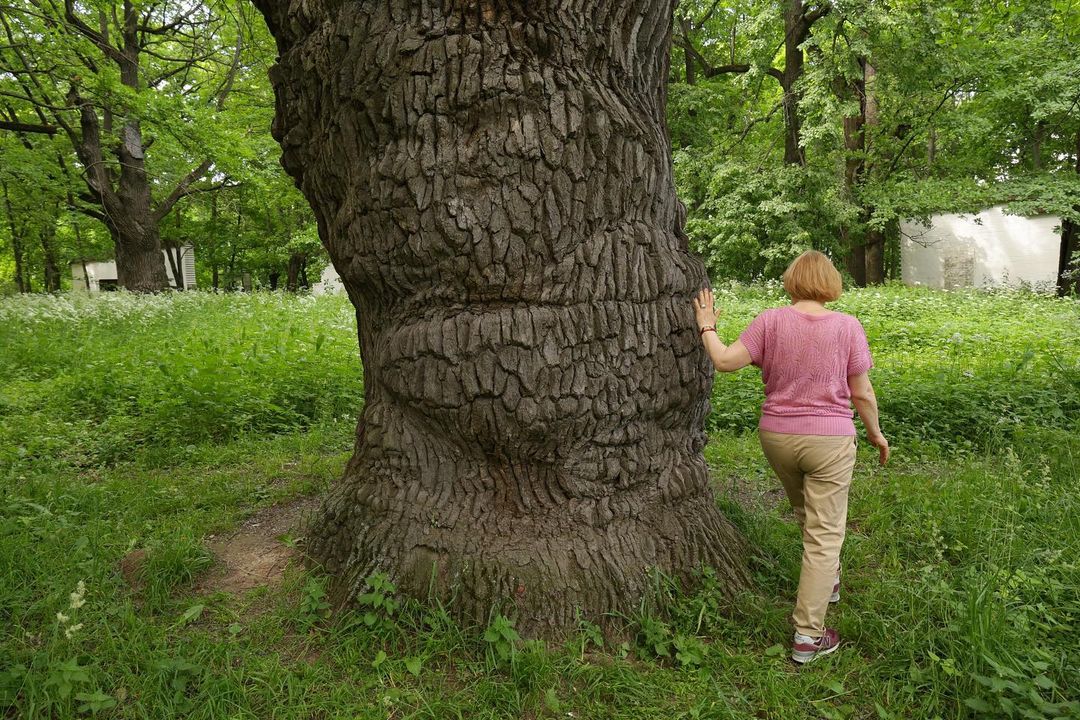 Безмолвные хранители истории