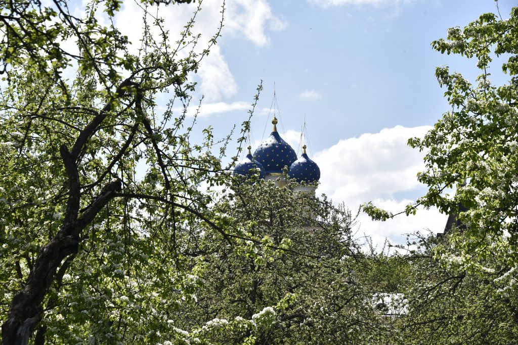 Экскурсия по храмам в Коломенском.Фото: Пелагия Замятина, «Вечерняя Москва»