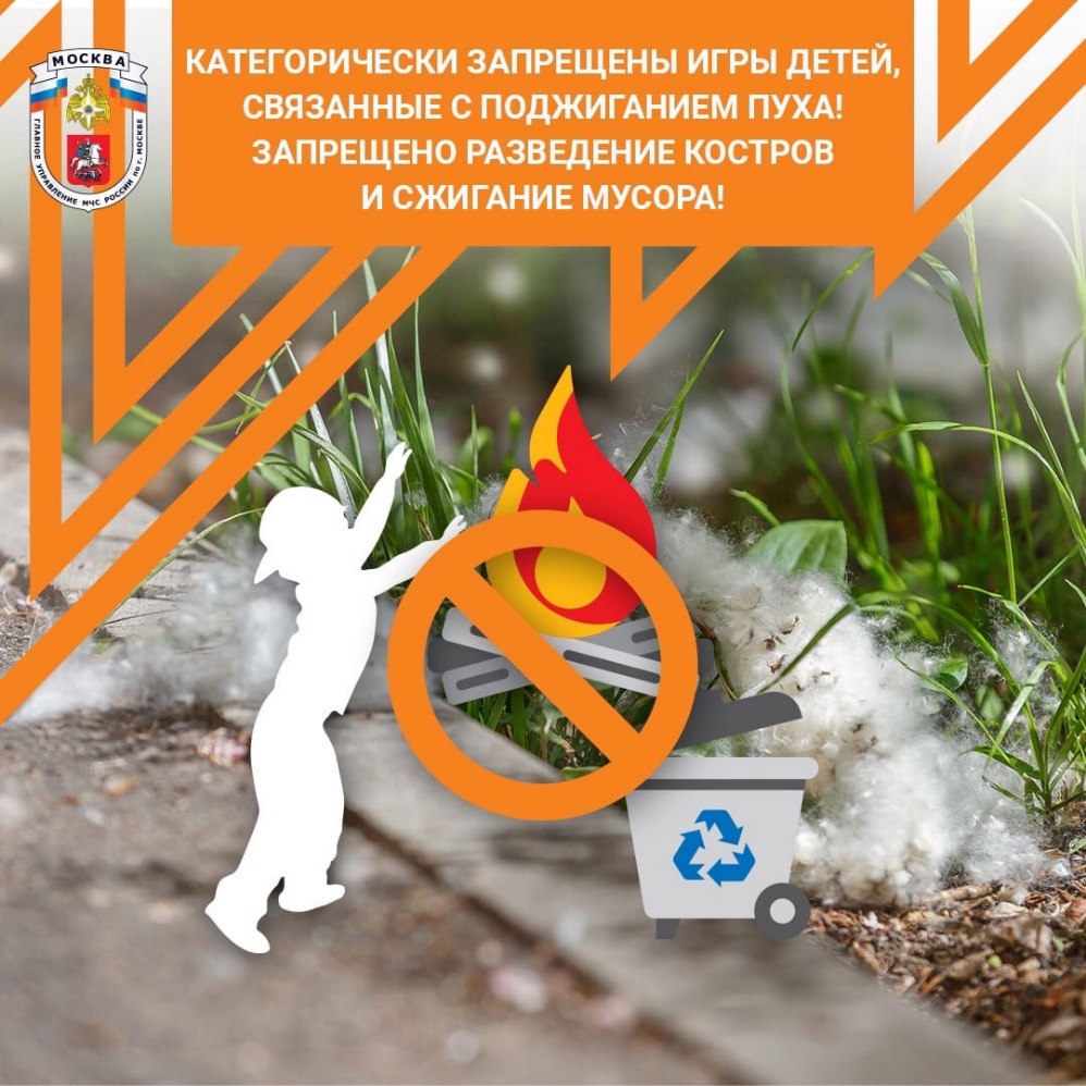 Ежегодно тополиный пух становится причиной возникновения серьезных пожаров