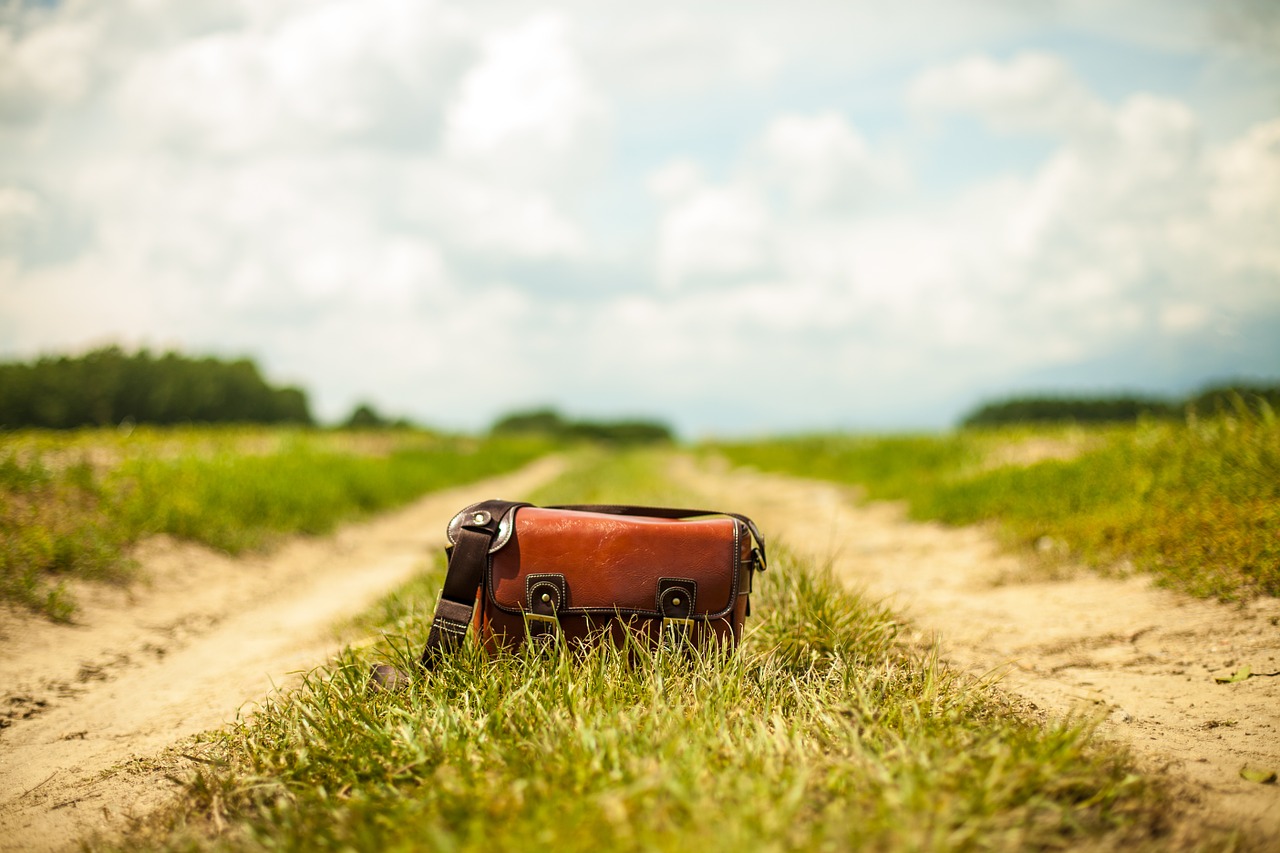 Москвичей научат создавать экологичные сумки. Фото: pixabay.com